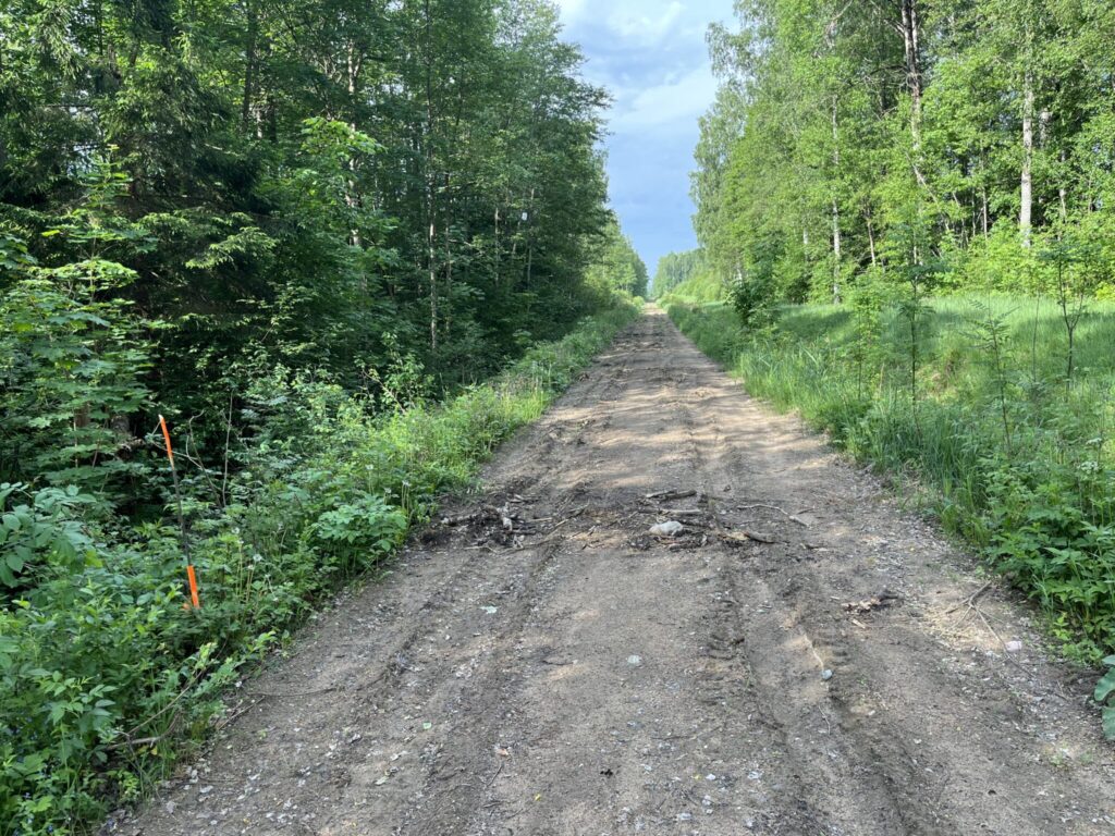 A dirt road runs through a forest with dense green foliage on both sides. The pathway is uneven, with scattered debris and patches of grass. An orange marker is visible on the left edge of the road.